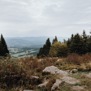 Gipfel_Gipfelstürmer_Berg_Wald_Duftkerze_frisch_zirbe_zitrone